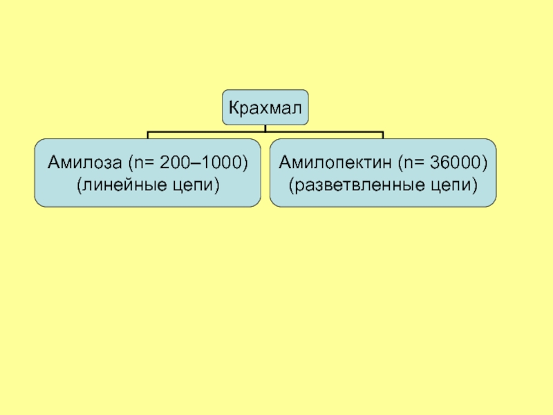 Углеводы часть 2