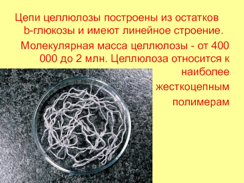 Углеводы часть 2 Цепи целлюлозы построены из остатков b-глюкозы и имеют линейное строение.Молекулярная масса Цепи целлюлозы построены из остатков b-глюкозы и имеют линейное строение.Молекулярная масса целлюлозы - от 400 000 до