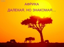 Презентация по географии Африка