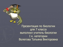 Презентация по биологии на тему: Класс Птицы