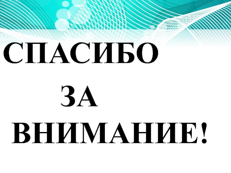 Компенсационные и гарантийные выплаты и доплаты в Российской Федерации СПАСИБО ЗА ВНИМАНИЕ! СПАСИБО ЗА ВНИМАНИЕ!