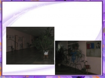 Проектная деятельность студентов Моя учеба в колледже /4 часть/