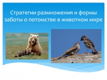 Презентация Формы заботы о потомстве