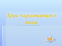 Презентация к уроку по окружающему миру на тему  В мире камней 2 класс