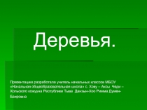 Презентация для начальных классов на тему Деревья
