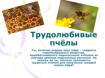 Презентация к уроку решение практических задач 4 класс по теме  трудолюбивые пчелы