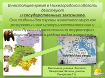 Презентация по географии Нижегородской области Пустынские озера