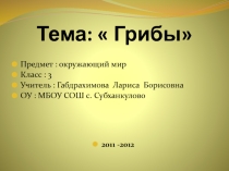 Презентация по окружающему миру на тему Грибы