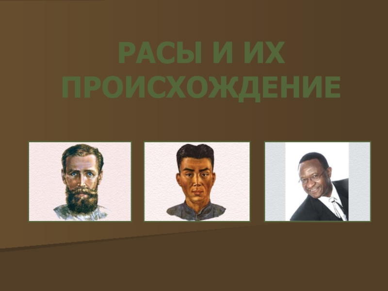 Презентация по предмету Естествознание, раздел Биология