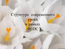 Структура современного урока в рамках ФГОС