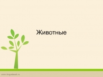 Презентация по английскому языку для 2 класса. Животные.