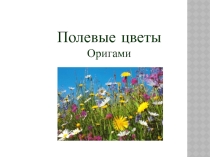 Искусство оригами. Полевые цветы