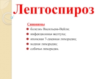 Презентация по инфекционным болезням Лептоспироз животных