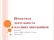 Проектная деятельность