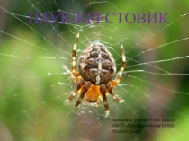 Презентация по окружающему миру на тему Пауки (3 класс)