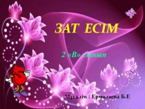 Презентация по казахскому языку на тему Зат есім (2 класс)