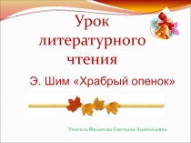 Презентация по литературному чтению Э.Шим Храбрый утенок 2 класс