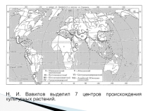 Презентация Центры происхождения культурных растений