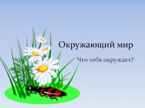 Презентация по окружающему миру Что тебя окружает? (2 класс)