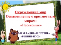 Презентация по окружающему миру Насекомые