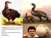 Заповедные тропинки 1 класс