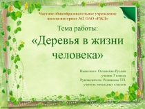 Деревья в жизни человека