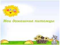 Урок на тему Мой домашний любимец