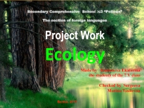 Презентация по английскому языку на тему: Ecology