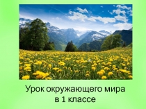Презентация Мы-семья народов России