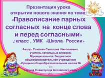 Презентация урока по русскому языку Правописание парных согласных