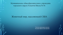Презентация по окружающему миру Животный мир США