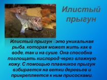 Презентация к интегрированному уроку в 3 классе по теме  Знаем-повторим, не знаем- узнаем