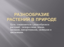 Презентация по предмету Окружающий мир на тему Разнообразие растений в природе