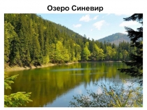 Презентация по окружающему миру на темуСохраним природу Земли! 4 класс