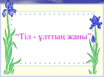Тіл ұлттың - жаны тәрбие сағаты