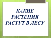 Презентация по окружающему миру на тему: Какие растения растут в саду (4 класс)