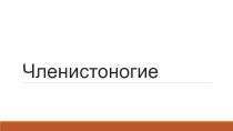 Презентация . Урок - обобщение Членистоногие