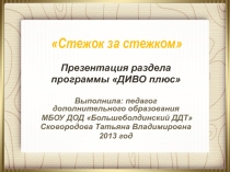 Презентация раздела программы ДИВО плюс Стежок за стежком.