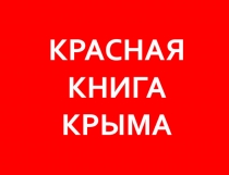 Презентация для дошкольников Красная книга Крыма.