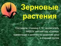 Презентация по развитию речи на тему Зерновые растения (старшая группа)
