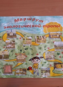 Презентация по экологическому воспитанию Экологическая тропа в детском саду