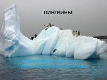 Презентация к уроку окружающего мира.Пингвины.