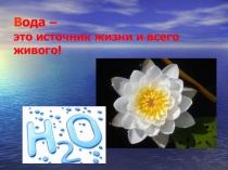 Вода - источник жизни и всего живого (к году экологии)