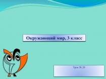 Открытый урок растения производители