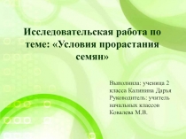 Исследовательская работа по теме Условия прорастания семян