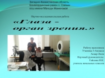 Научная работа на тему Глаза - орган зрения