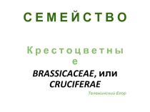 Материалы у уроку: Семейство крестоцветные