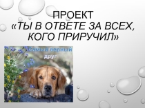 Презентация для классного часа Мы в ответе за тех, кого приучили