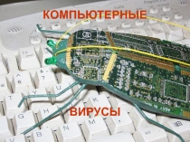 Презентация по информатике на тему Вирусы