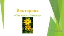 Загадки Лешего (5-6 класс)